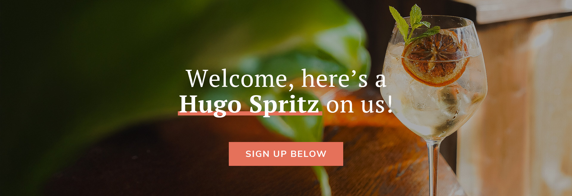 Sign up to the newsletter at The Albany